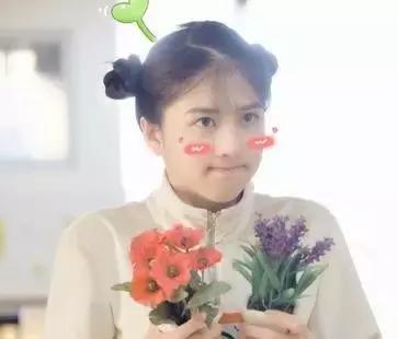 李凯馨苹果广告视频