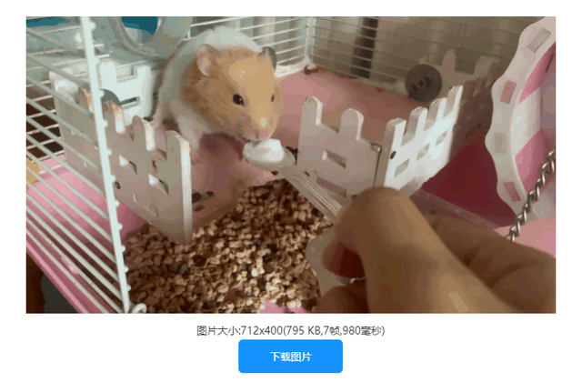 短视频如何做成动图
