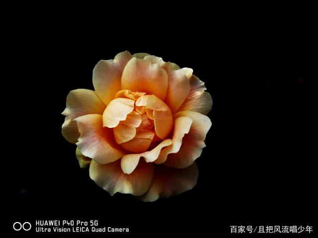 背景全是黑色短视频如何拍摄(背景是黑色的视频怎么拍出来的)