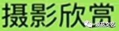 正能量的短视频 正能量的短视频