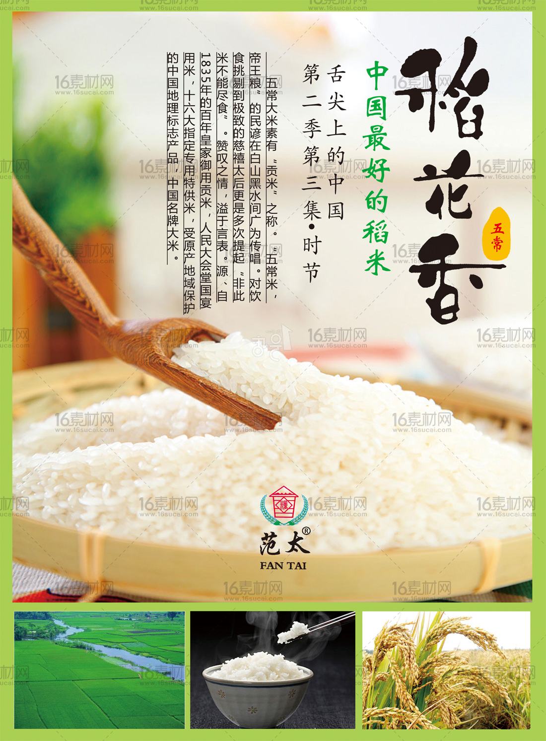 大米宣传视频(大米企业宣传片)