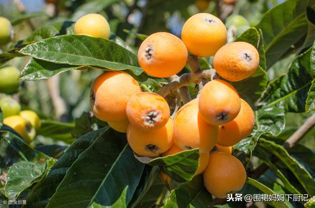 水果罐头的做法视频