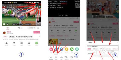 b站视频怎么做合集(手机b站视频怎么做成合集)