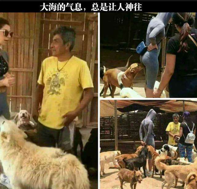 搞笑内涵短视频(什么有内涵搞笑的视频)