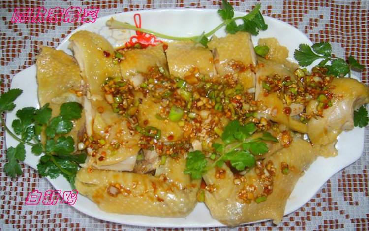 白条鸡的做法视频(白条鸡的家常做法视频)