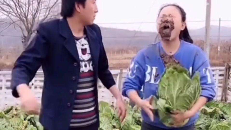 各种搞笑短视频(各种搞笑短视频素材)