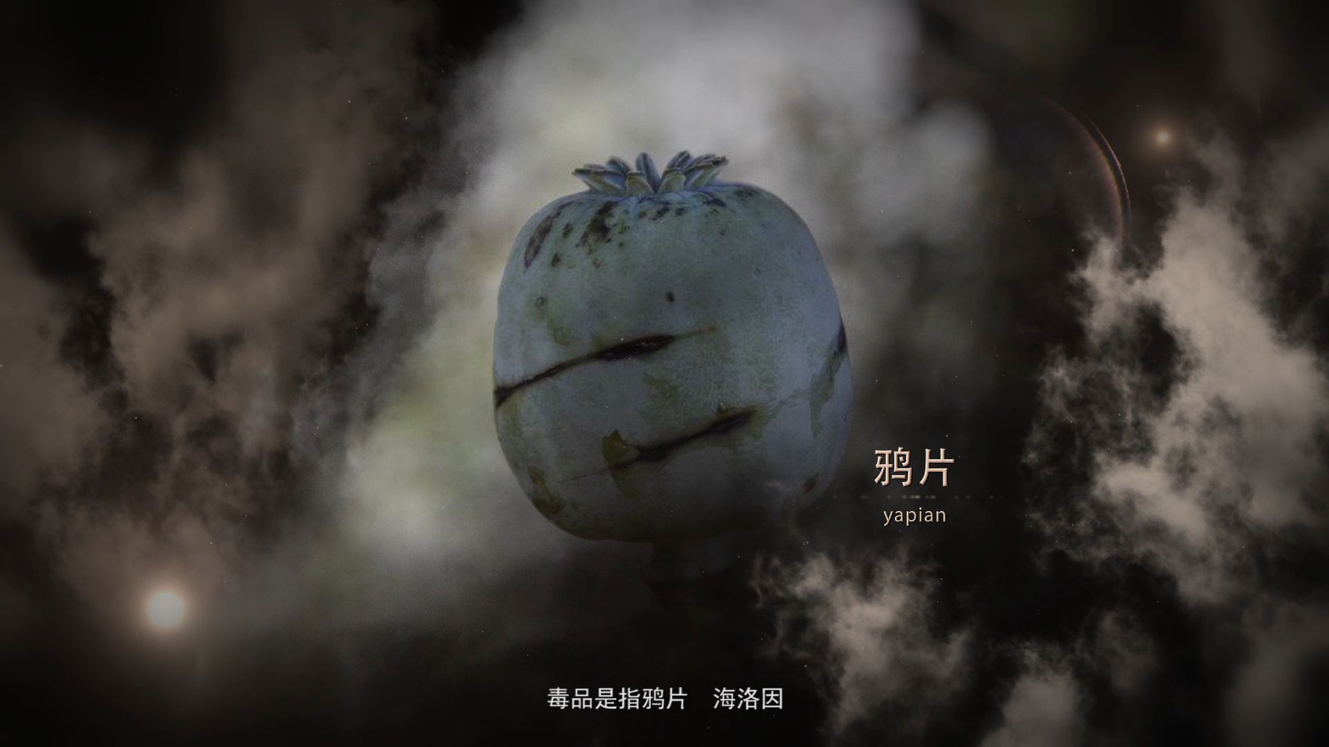 优秀的宣传视频(优秀的宣传视频素材)