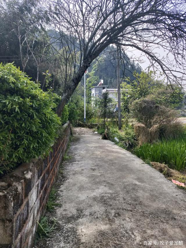 路上风景短视频(开车路上风景视频短片)