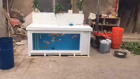 玻璃鱼缸制作视频(大型玻璃鱼缸制作视频)