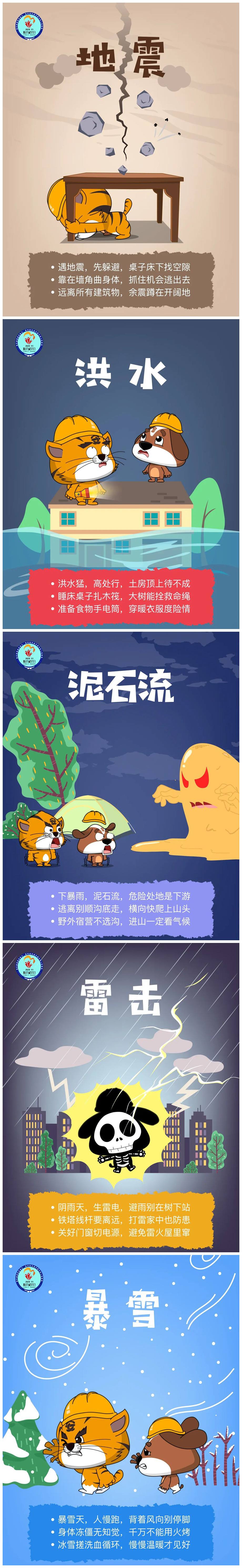 防灾减灾救灾宣传视频(防灾减灾救灾宣传视频播放)