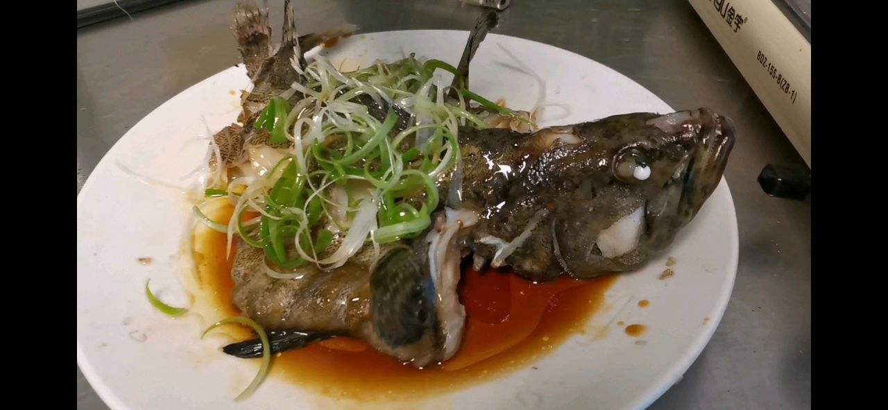 石斑鱼做法视频(石斑鱼怎么做好吃法 视频)