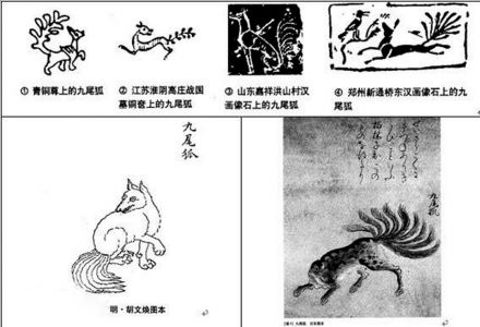 九尾狐短视频无限观看的简单介绍