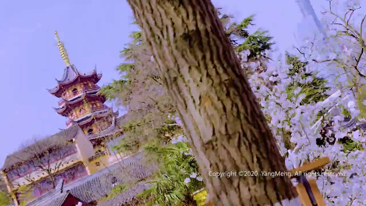 南京短视频(南京短视频运营公司)