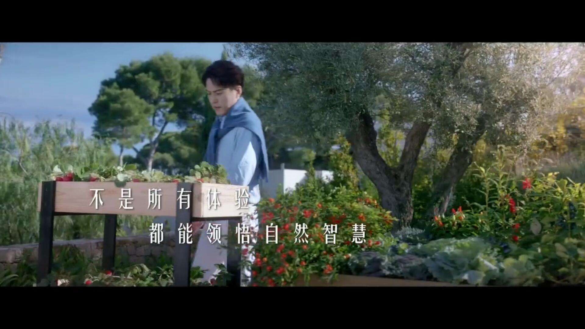 特仑苏宣传视频(特仑苏生产过程视频)