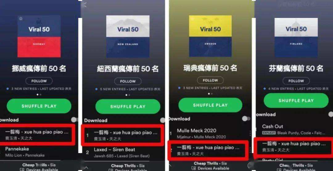 关于除了油管国外还有哪些短视频网站的信息