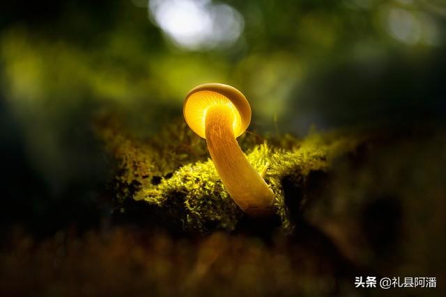 短视频怎么上热搜 短视频怎么上热搜