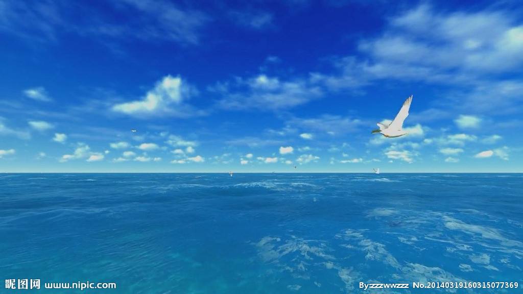 大海短视频(大海短视频高清)