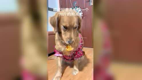 10秒左右搞笑短视频(搞笑短视频10秒笑死了)