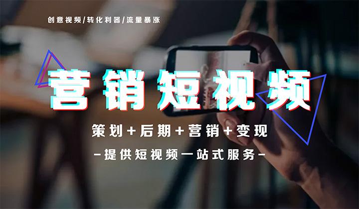 短视频营销实战(短视频营销实战手记下载)