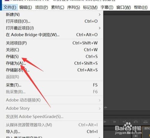 项目介绍视频怎么做(项目介绍视频怎么做好看)