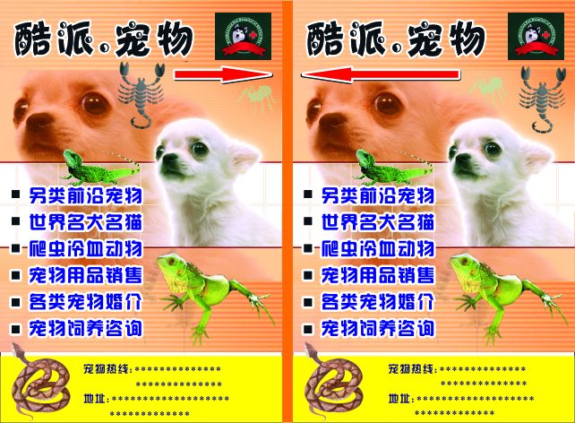 宠物店宣传视频(宠物店宣传视频怎么做)