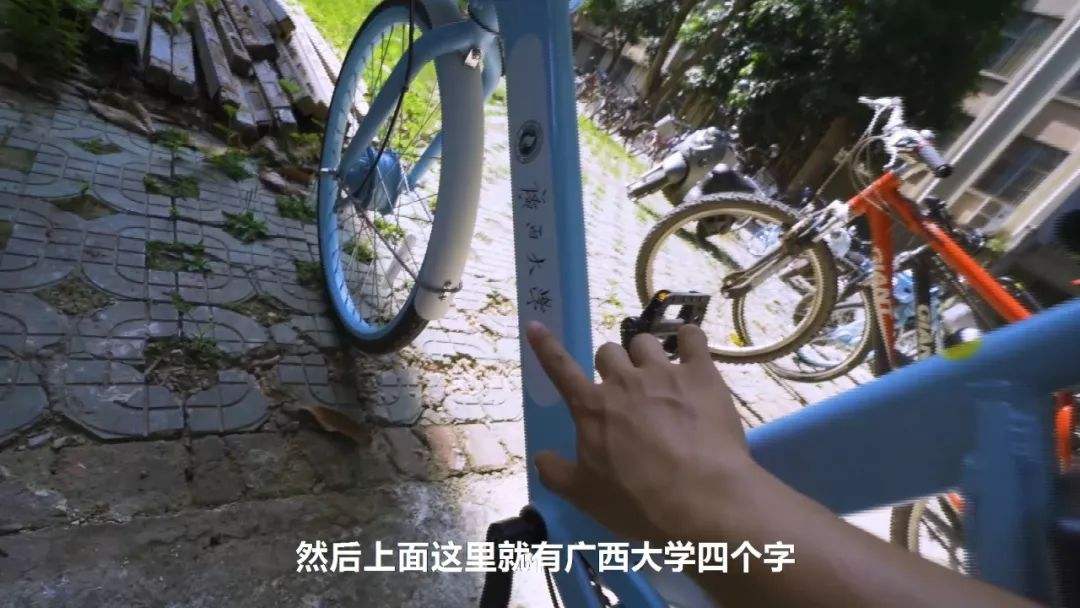 关于校园的短视频(有没有关于校园的短视频)