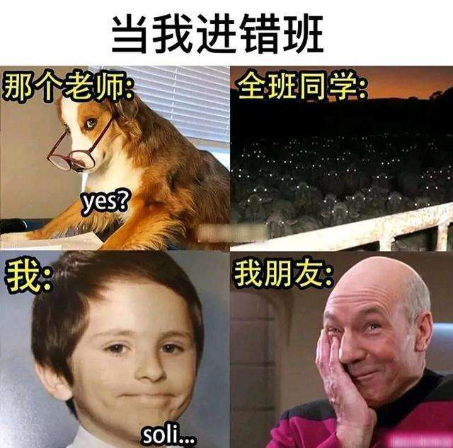超搞笑沙雕短视频(超搞笑沙雕短视频大全)