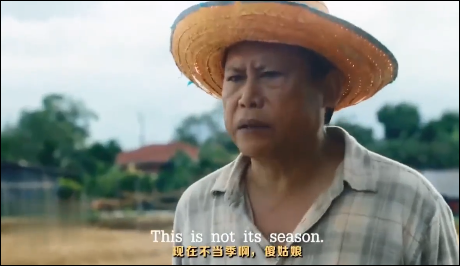 泰国创意广告视频(经典泰国广告视频大全)