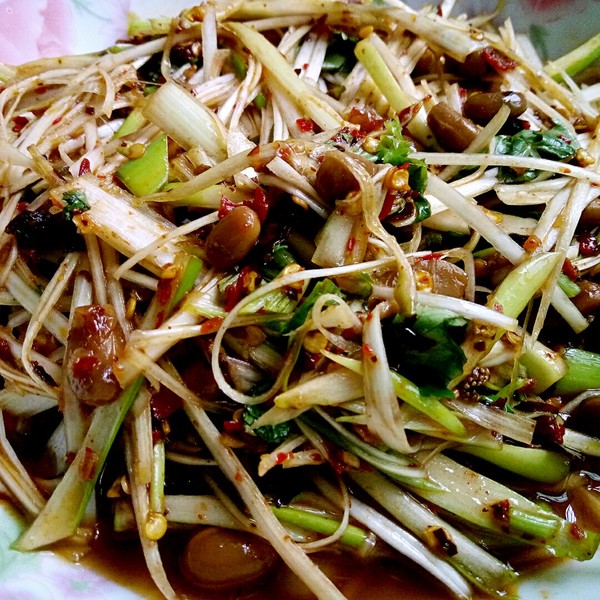葱油干丝的做法视频(葱油干豆腐丝的做法视频)