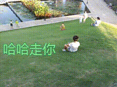 怎么把短视频做成动图(怎么把短视频做成动图的)