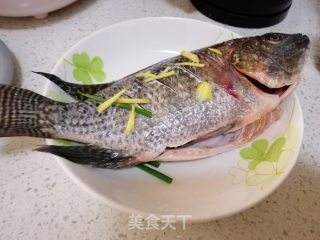 清蒸罗非鱼的做法视频(清蒸罗非鱼的做法 家常)