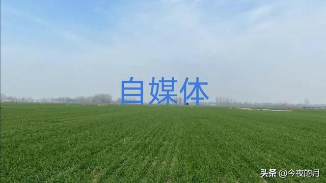 图片如何制作成视频 图片如何制作成视频