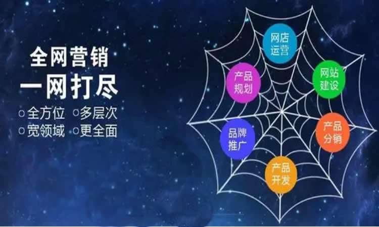 网络营销策划视频(网络营销策划视频课程)