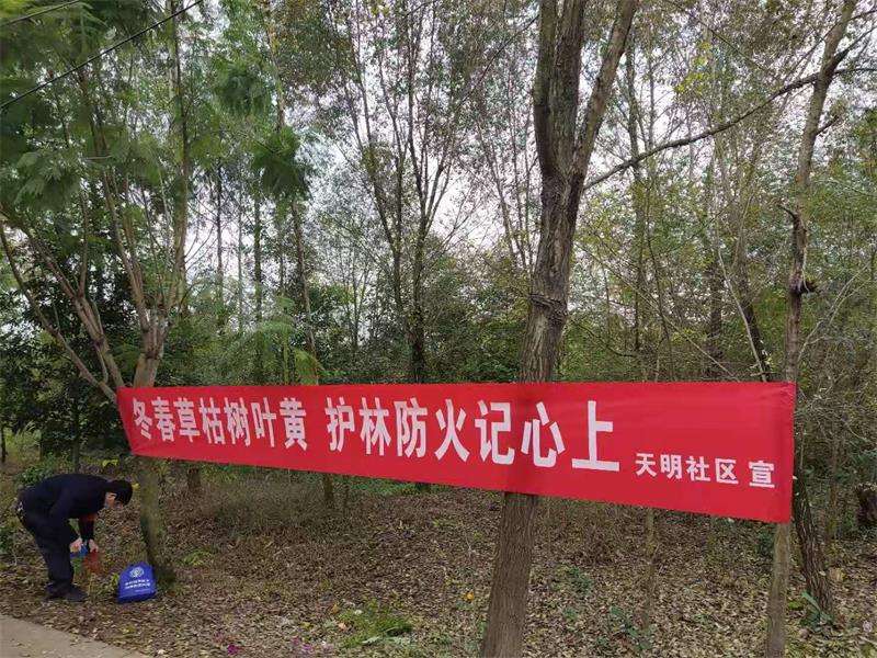 森林防火宣传视频短片(森林防火宣传视频短片央视)