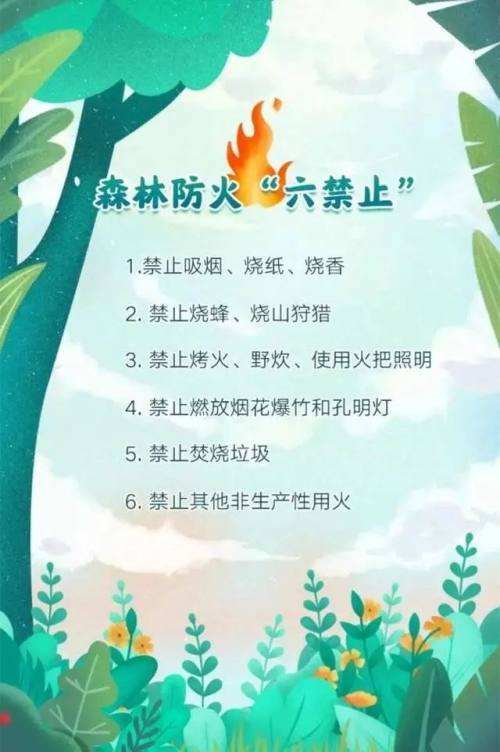 森林防火宣传视频短片(森林防火宣传视频短片央视)