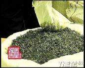 碧螺春的制作过程视频(手工碧螺春详细制作过程)