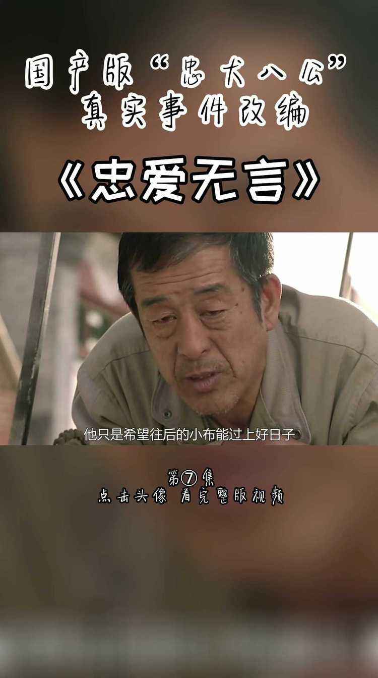 免费国产午夜短视频(免费国产午夜短视频在线观看)