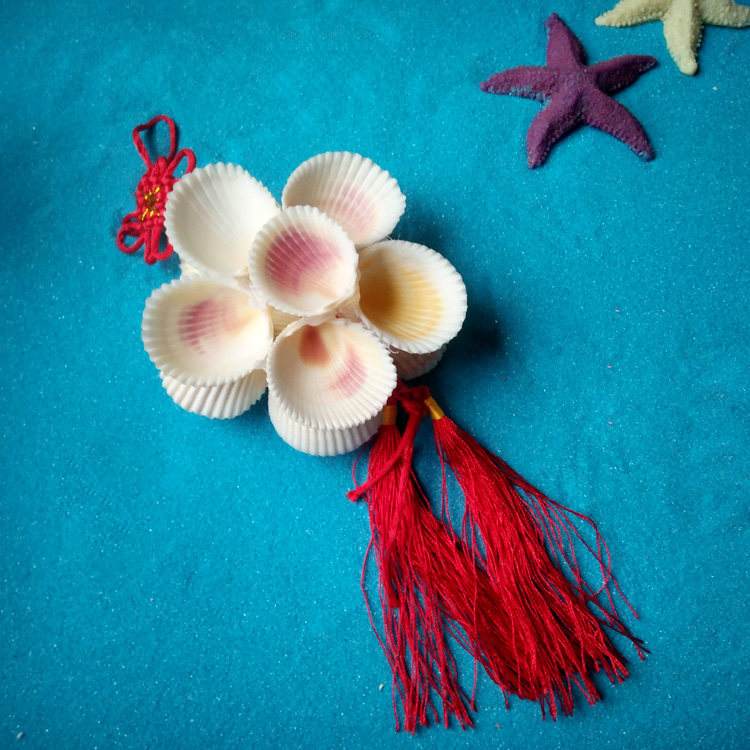 贝壳手工制作视频(贝壳手工制作视频教程)