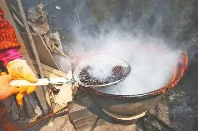 膏药制作流程视频(膏药怎么制作视频教程)