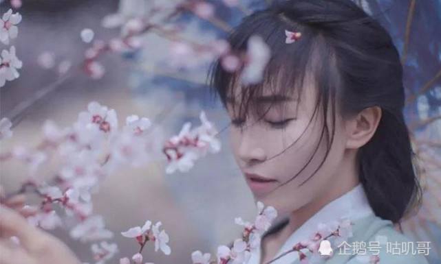 李子柒短视频所展示的中华魅力(李子柒短视频所展示的中华文化魅力)