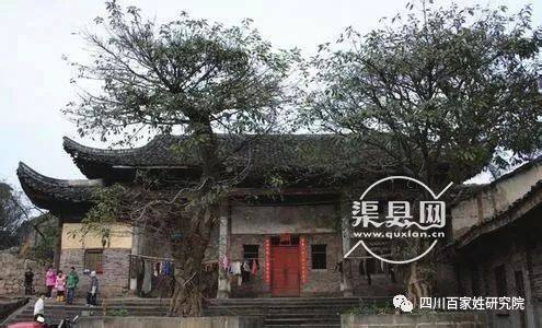 曹汉短视频(本站3天更换一次域名yw)