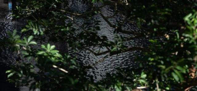 曹汉短视频(本站3天更换一次域名yw)