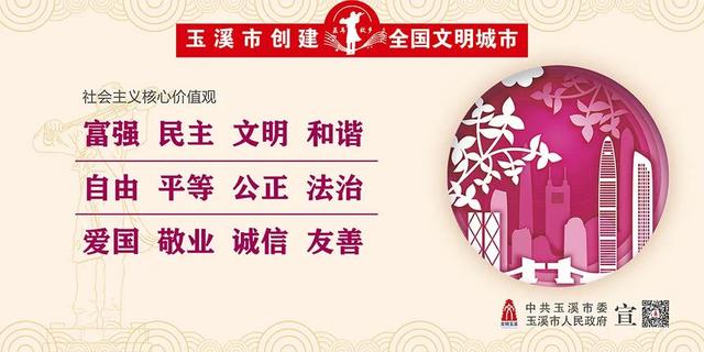 社会主义核心价值观宣传视频