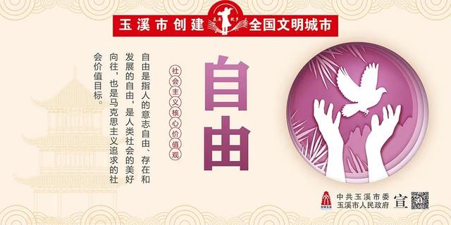 社会主义核心价值观宣传视频