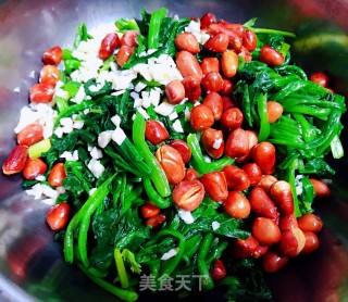干煸菠菜的做法视频(干煸菠菜的做法视频窍门)