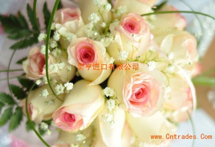 鲜花在线销售(鲜花在线销售系统任务书)