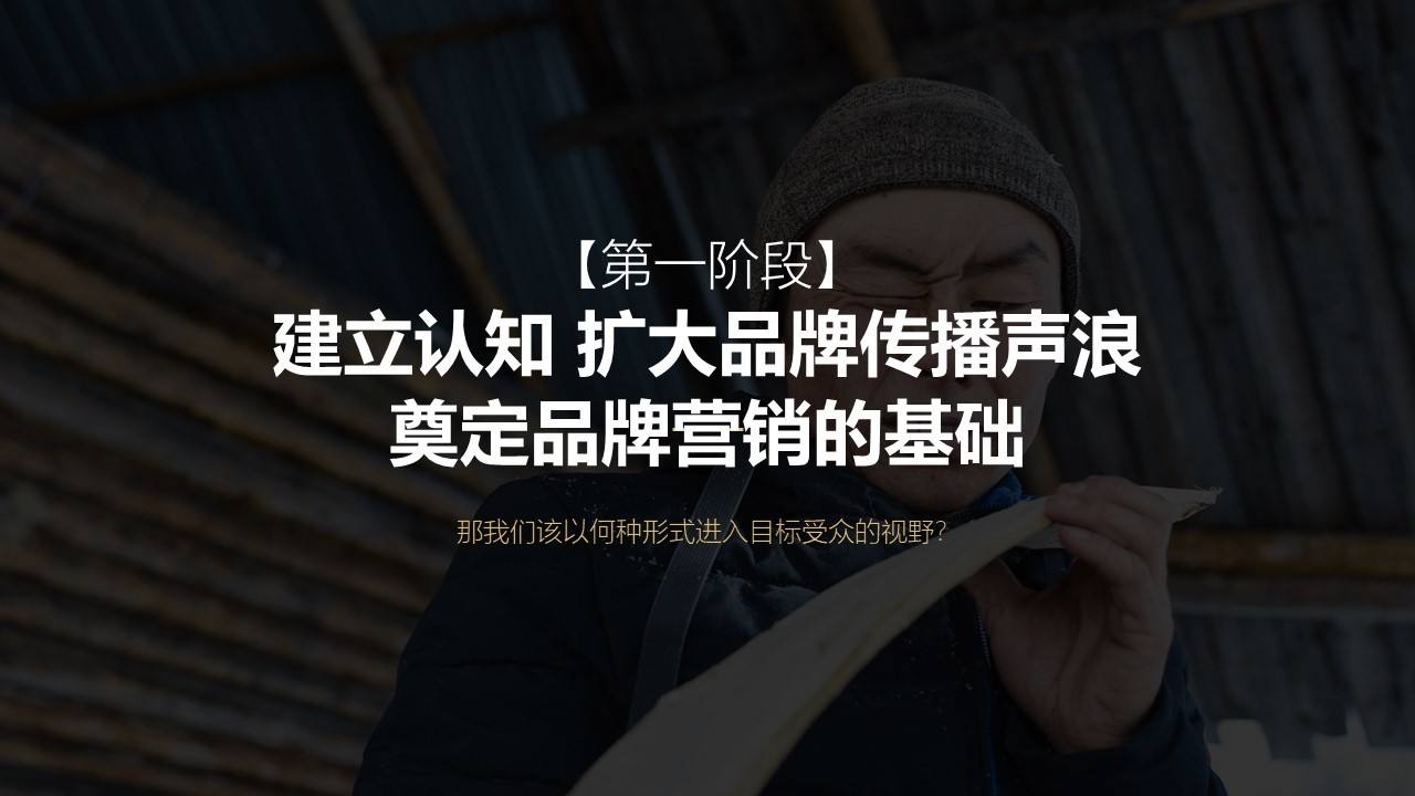 视频营销推广方案(视频营销推广方案1500字)
