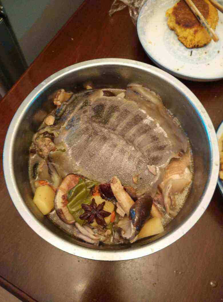 甲鱼的做法视频(甲鱼的做法及食用方法视频)