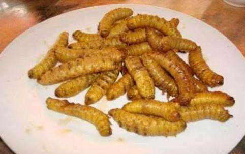 豆蛋的做法视频(鸡蛋豆腐怎样做好吃视频)