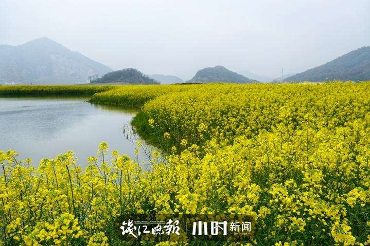 春天景色短视频(春天自然景色视频)